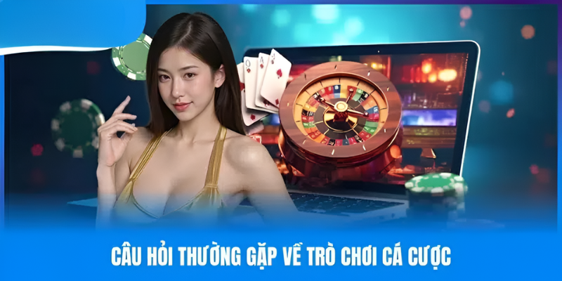 Các câu hỏi thường gặp về trò chơi cá cược có tại Fun88